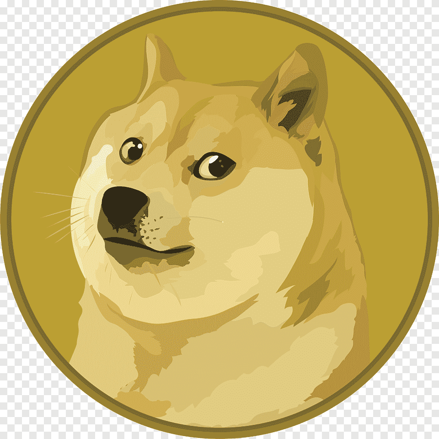 DOGE